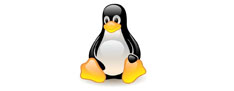 Linux